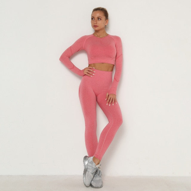 Women Seamless Sport set For Gym Sport Yoga Suit Sexy Booty