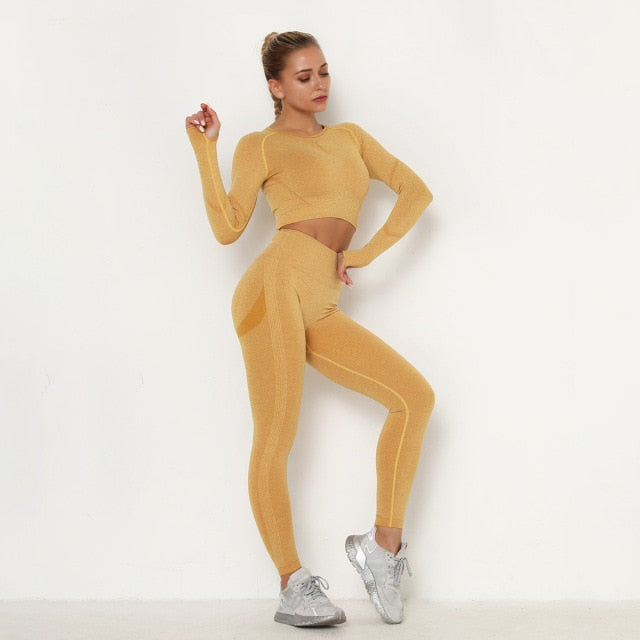 Women Seamless Sport set For Gym Sport Yoga Suit Sexy Booty